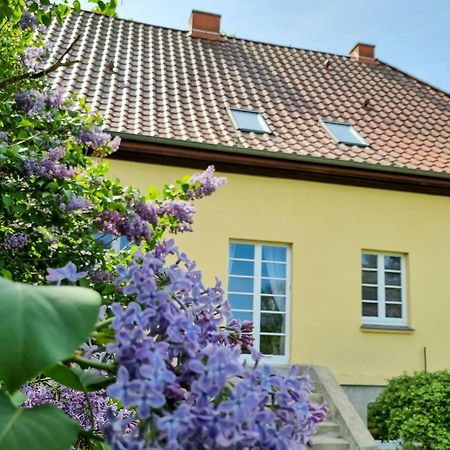 Apartamento Gutshaus Neu Necheln Bruel Exterior foto