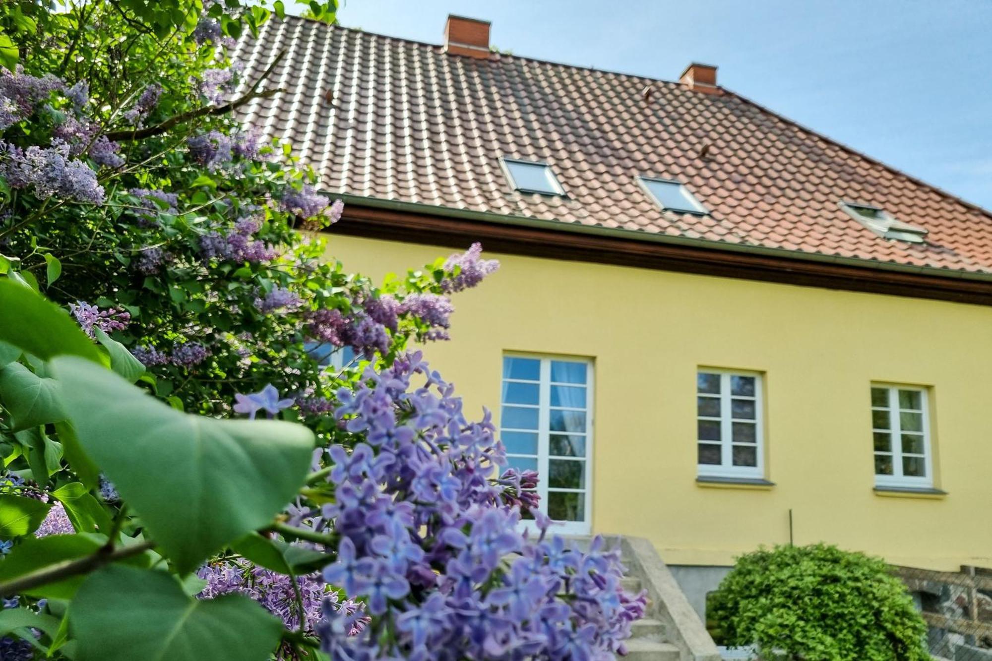 Apartamento Gutshaus Neu Necheln Bruel Exterior foto